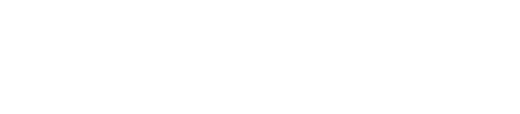 Logo Electrichargers Blanco